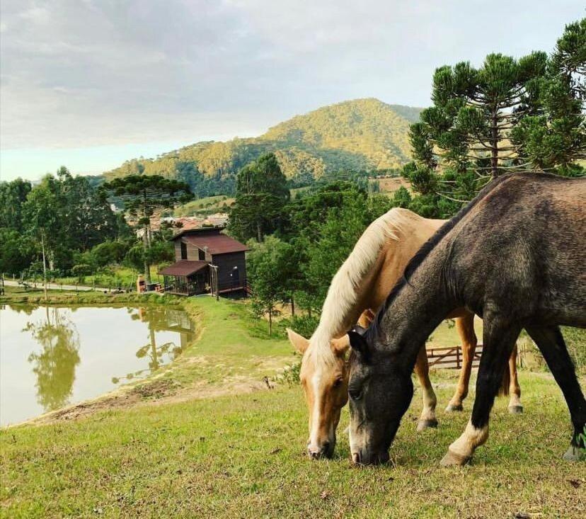 Floresta Secreta- Pousada Cachoeira Da Neve Urubici Luaran gambar