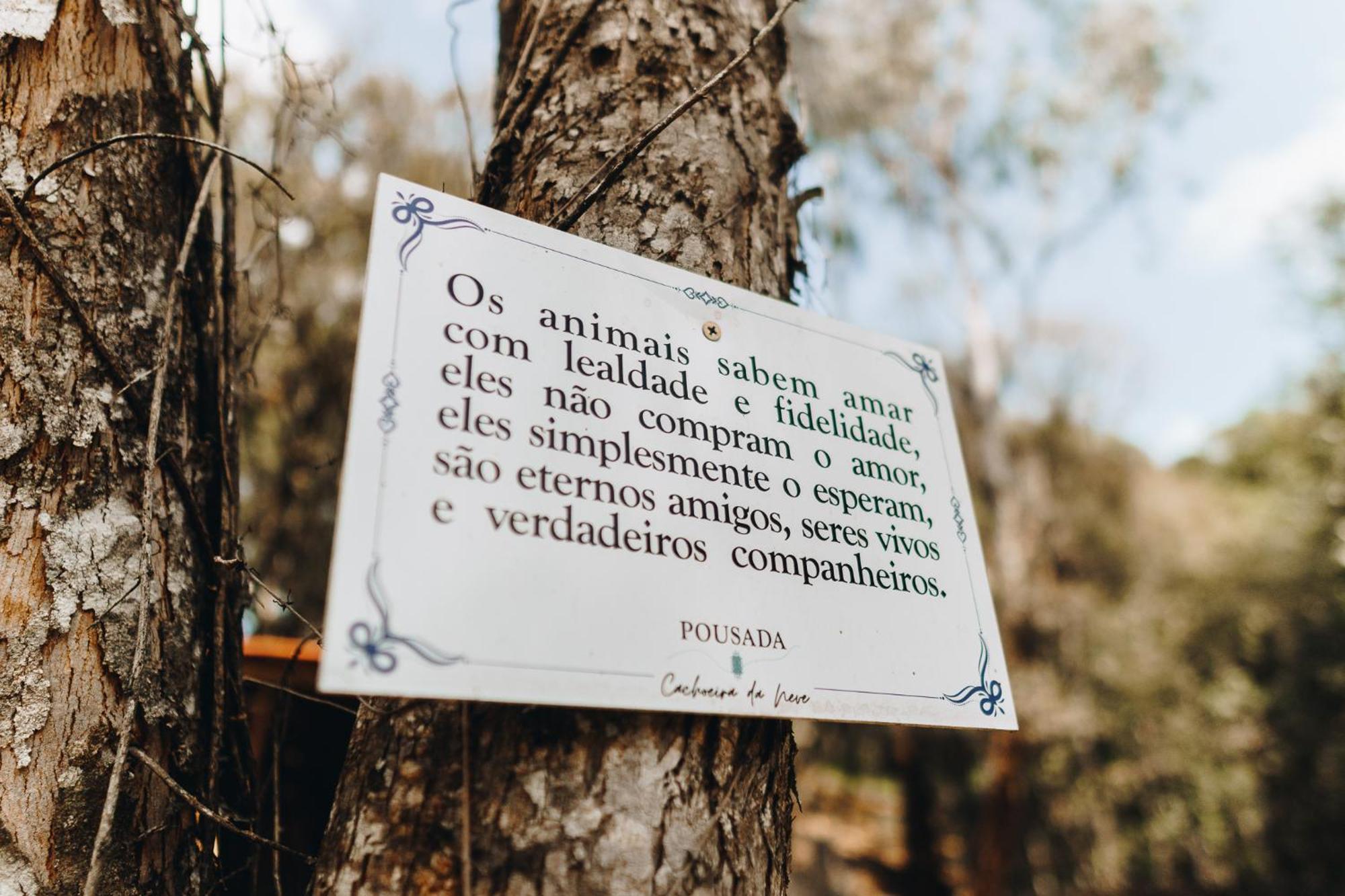 Floresta Secreta- Pousada Cachoeira Da Neve Urubici Luaran gambar